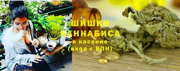 ПСИЛОЦИБИНОВЫЕ ГРИБЫ Баксан