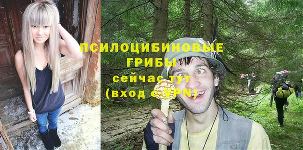 spice Балахна