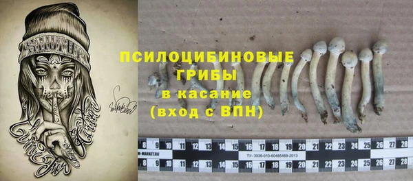 дмт Арсеньев
