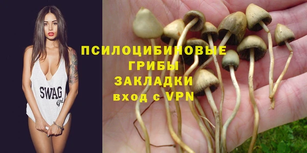 ПСИЛОЦИБИНОВЫЕ ГРИБЫ Баксан